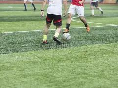 米兰体育,资讯,米兰体育官网,米兰体育官网,MILAN,Sports,足球直播,篮球赛事,体育高清,NBA直播