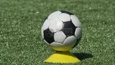 米兰体育 资讯 093249 oel